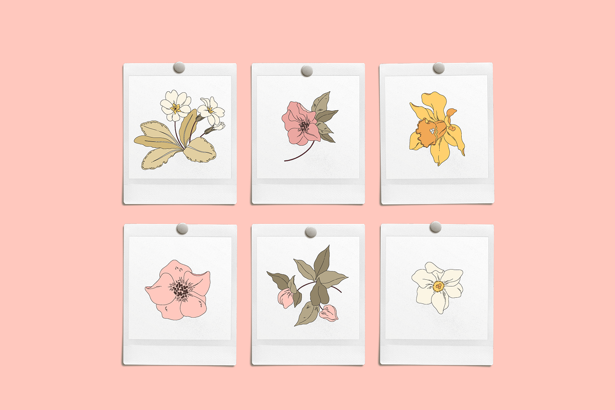 Spring Floral Vector Illustrations, a Decorative Illustration by Emma Webb Studio (Photo 6 of 9)