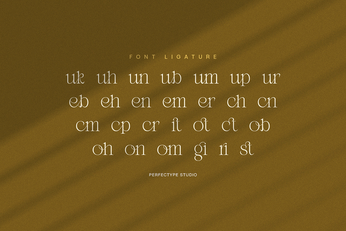 Riukan modern elegant serif font, a Serif Font by Perfectype (Photo 7 of 8)