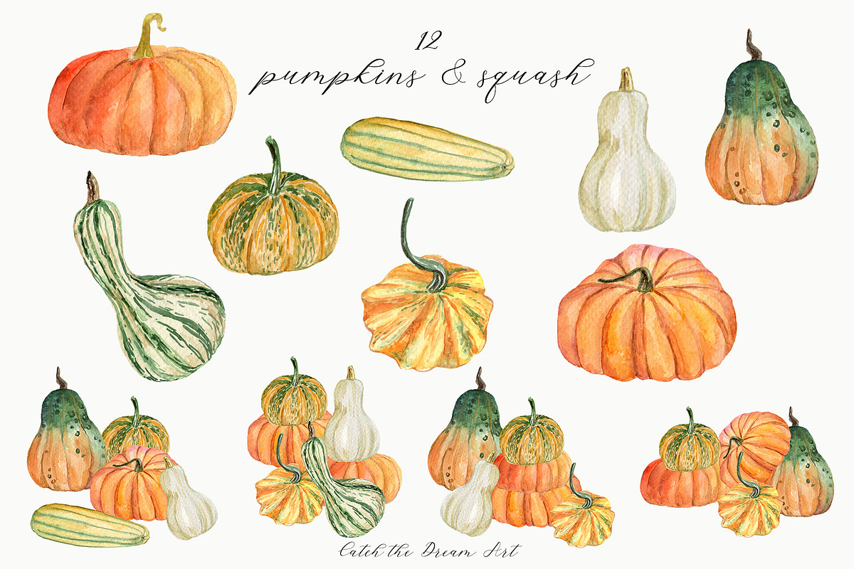 Early Fall Floral Pumpkin Watercolor, a Seasonal Illustration by Catch the Dream Art (Photo 6 of 13)
