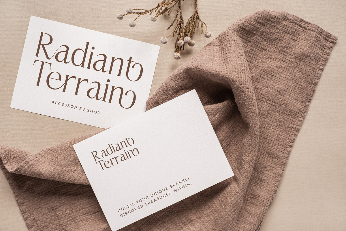 Casselin Modern Serif Font, a Serif Font by Letterena Studios (Photo 10 of 15)