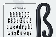 Display Fonts Bundle, a Serif Font by Kochev Type (Thumbnail 19 of 22)