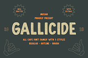 Gallicide With Extras, a Slab Serif Font by MuSan (Thumbnail 1 of 7)
