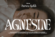 Fd Parfume Serif Font + Swashes, a Serif Font by Fortunes Co (Thumbnail 11 of 12)