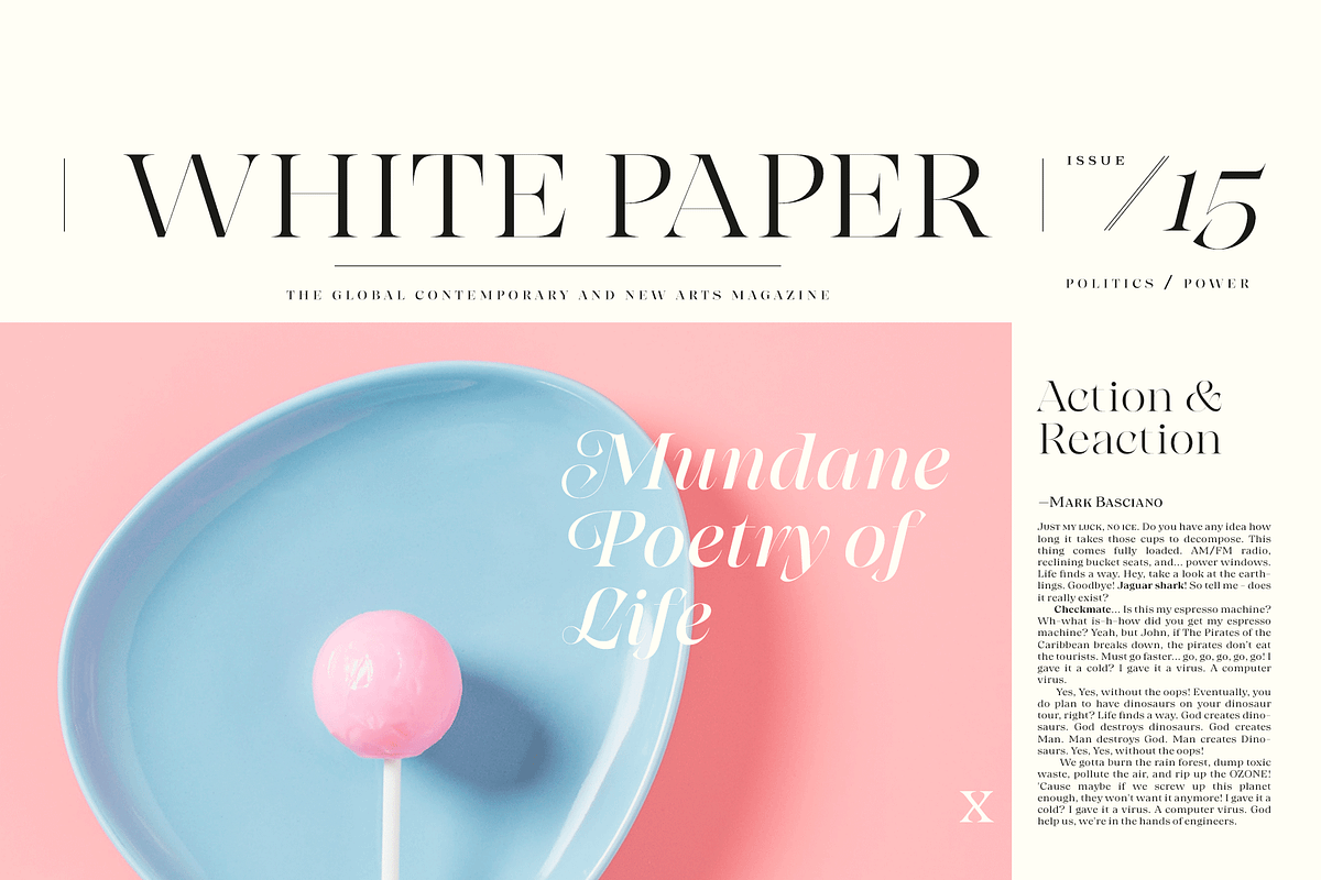Grand Cru Superfamily, a Serif Font by Fenotype (Photo 13 of 14)