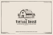 Vintage Illustrator Brushes, a Brush Add-On by AndrewPixel (Thumbnail 5 of 8)