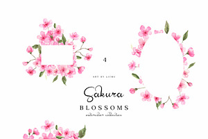 Sakura Blossoms Watercolor