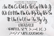 Babyface, a Handwritten Font by FreshTypeINK (Thumbnail 3 of 9)