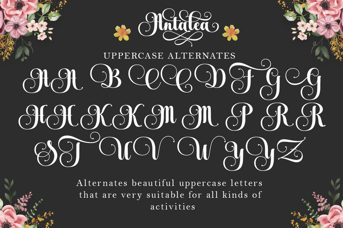 Antalea, a Script Font by IM Studio (Photo 8 of 12)
