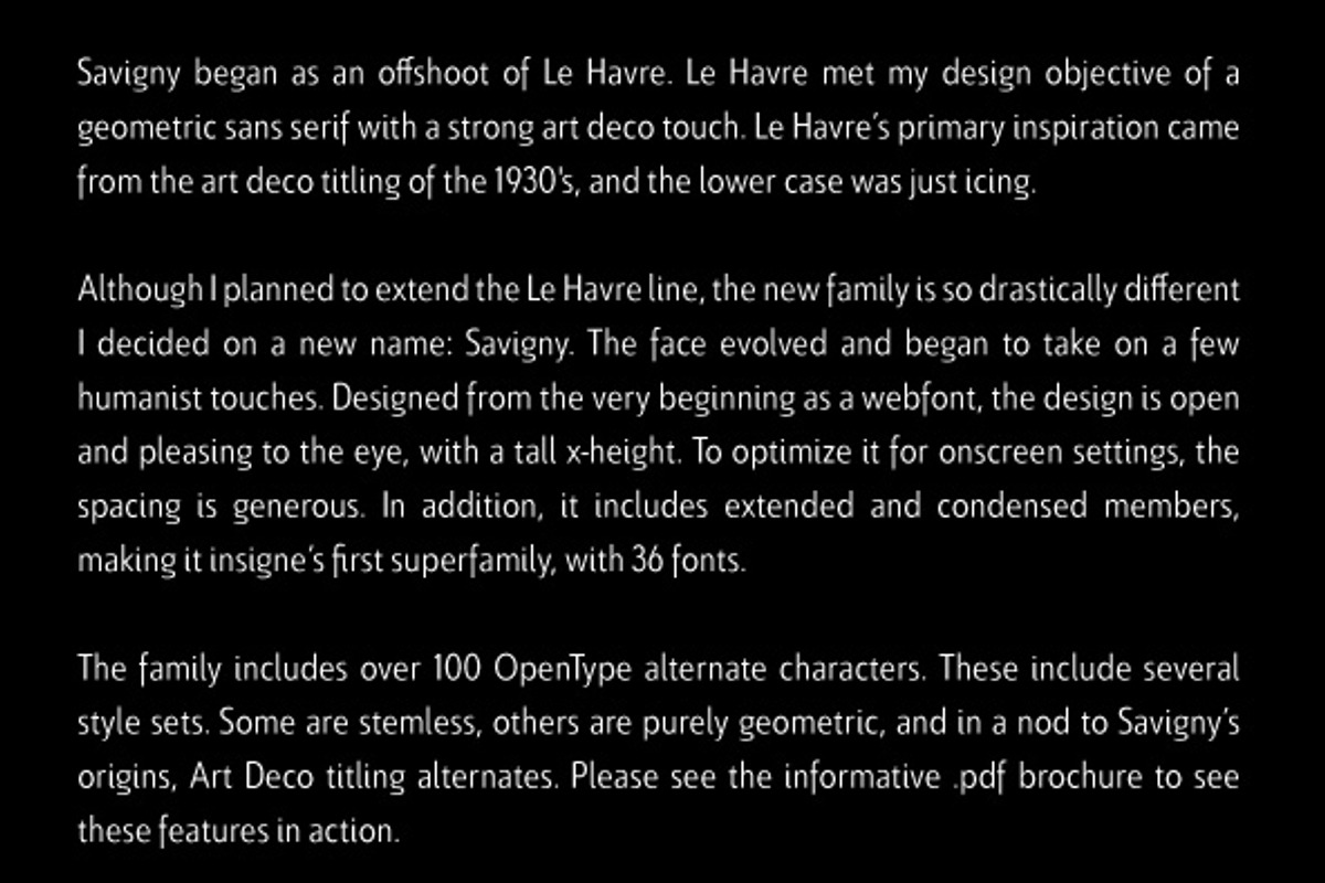 Savigny, a Sans Serif Font by insigne (Photo 2 of 4)