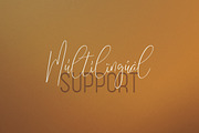 Sunflower - Font Duo, a Script Font by VP Fonts (Thumbnail 11 of 12)