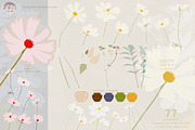 Abstract Florals Cosmos Collection, an Illustration by White Lane Studio (Thumbnail 2 of 9)