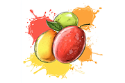 Prompt Watercolor Oranges Clipart, a Decorative Illustration by Creative design (Thumbnail 3 of 7)