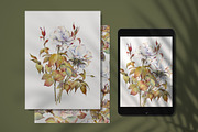 Romantic Watercolor Rose Clipart, a Decorative Illustration by Jeanna Draw (Thumbnail 16 of 17)