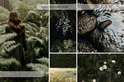 Forest Stock Photos | Moody Woodland, a Nature Photo by Tale.Haus (Thumbnail 14 of 20)