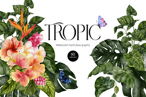 Tropic. Watercolor Graphic