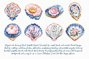 Floral Seashell Clipart set, an Illustration by Libby Wishes (Thumbnail 6 of 7)