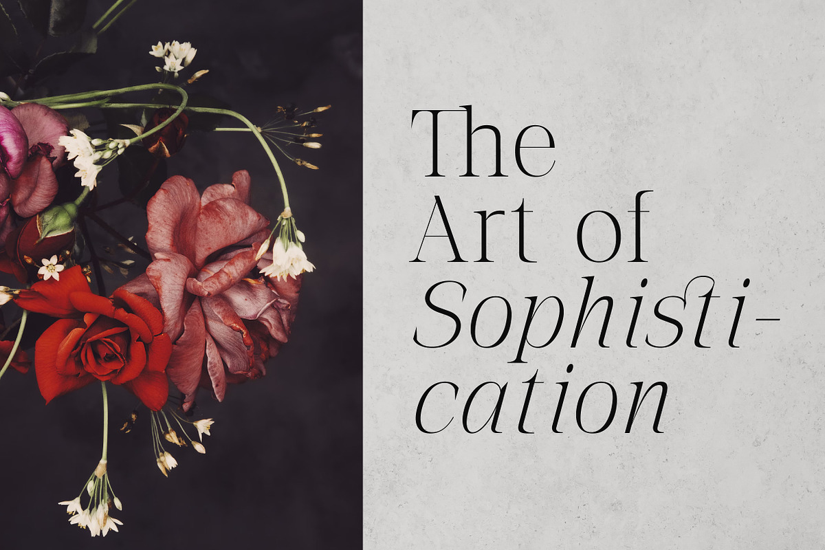 The Letter Editorial – Modern Serif, a Serif Font by Lettertype Studio (Photo 5 of 16)