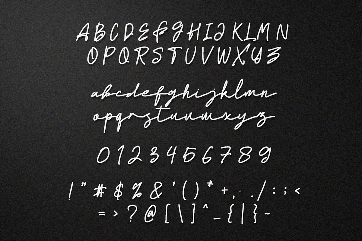 Worthy Monoline Signature Font, a Script Font by NTC Graphic (Photo 9 of 10)