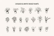 House Plant Doodles & Clipart, an Object Illustration by Oktyabr (Thumbnail 3 of 6)