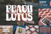Modern Display Font Bundle 5, a Script Font by Nathatype (Thumbnail 6 of 10)