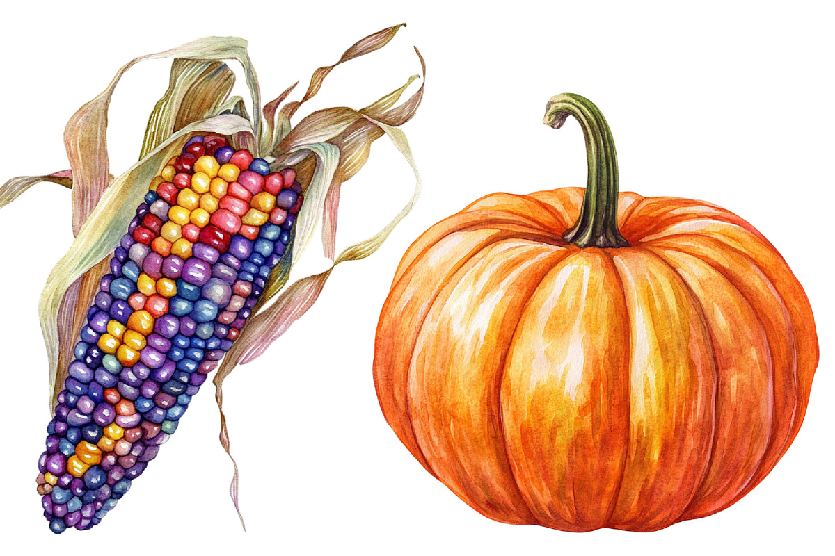 Watercolor Thanksgiving Harvest, a Seasonal Illustration by CitraGraphics (Photo 6 of 7)