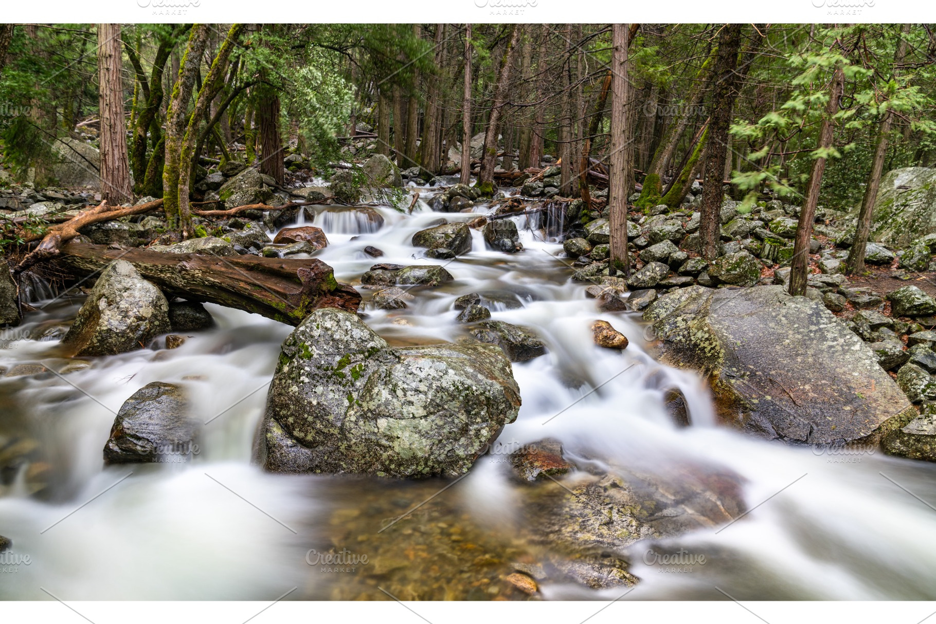 Bridalveil creek in yosemite valley stock photo containing forest and, a Nature Photo by Leonid Andronov