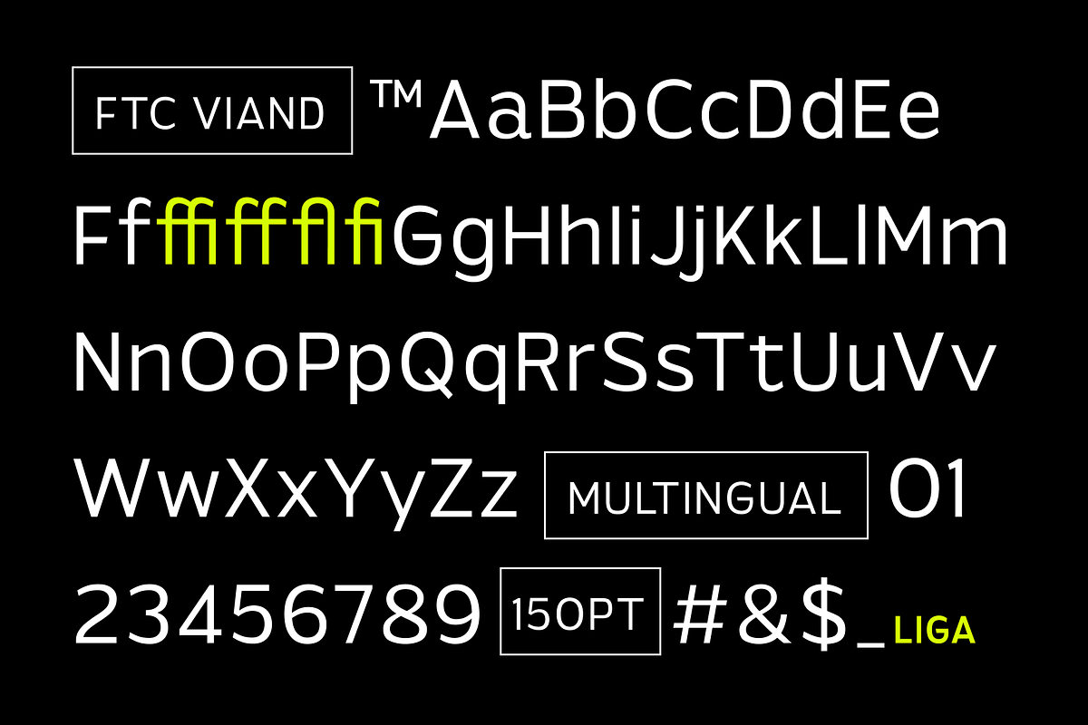 Viand — A Versatile Sans with Flavor, a Sans Serif Font by Fridaytype (Photo 11 of 15)