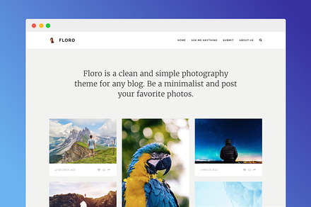 Floro Tumblr Photo Theme, a Websites & App Template by Dabu Themes