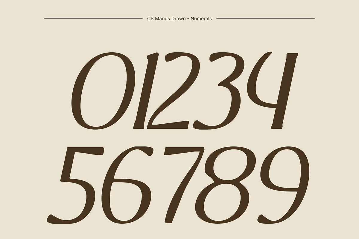 CS Marius Drawn, a Serif Font by Craft Supply Co. (Photo 5 of 8)