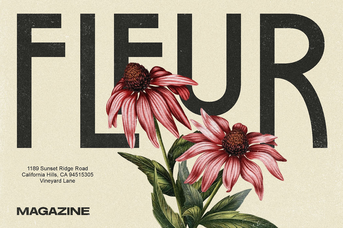 PREQUEL DISPLAY, a Sans Serif Font by Glowtype (Photo 6 of 15)