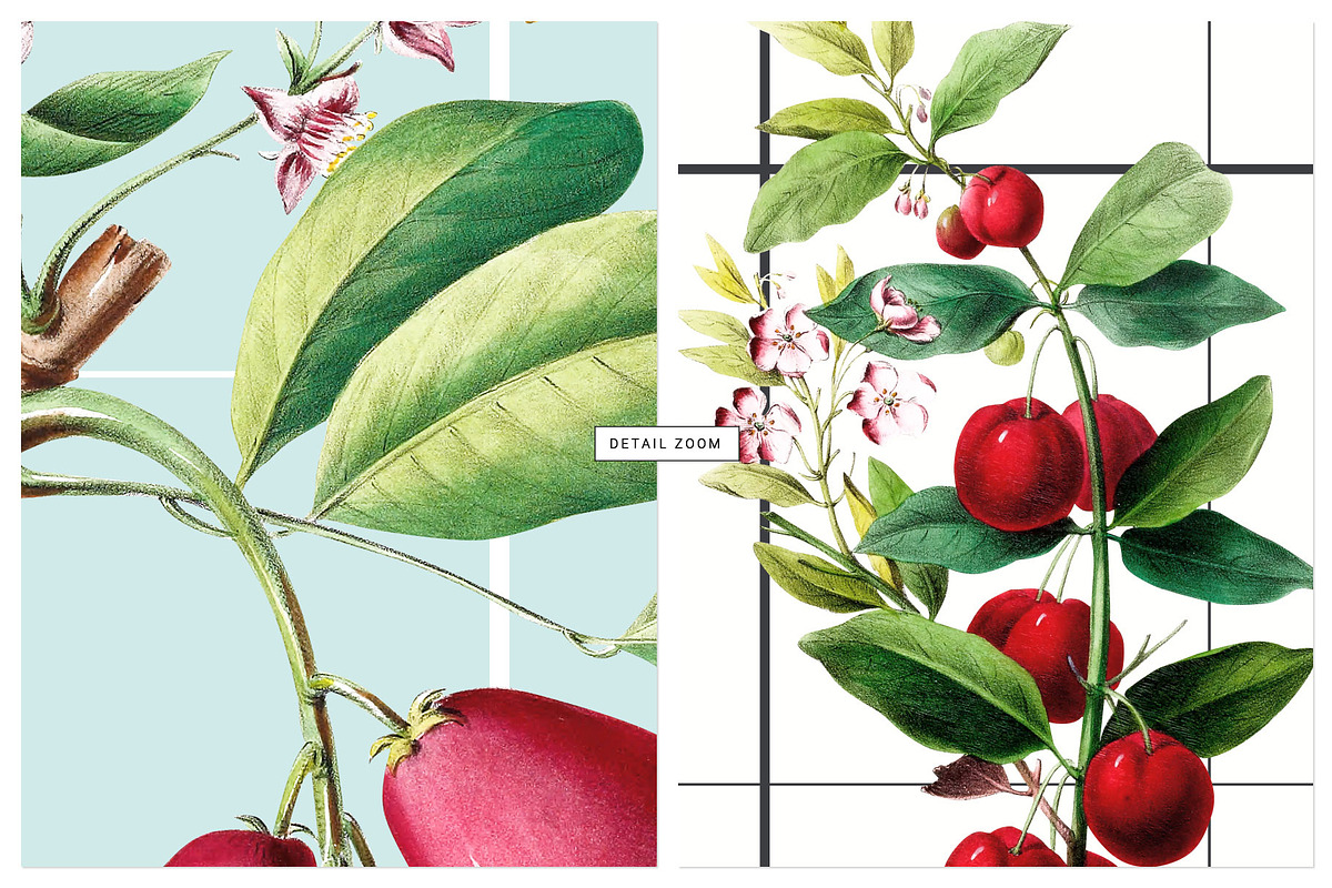 Herbarium Collection prints & more!, a Pattern Graphic by Pink Linen (Photo 10 of 15)