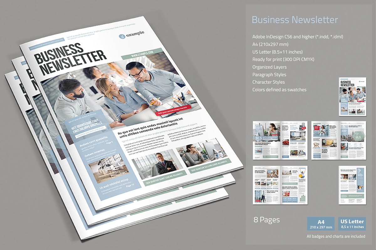 InDesign Corporate Newsletter, a Brochure Template by MrTemplater (Photo 1 of 3)