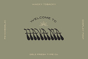 Wacky Tobacky: A Psychedelic Script, a Script Font by DeliFreshTypeCo. (Thumbnail 4 of 10)