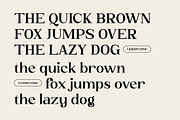 Yellow Club | Retro Serif, a Serif Font by ClevUs (Thumbnail 7 of 10)