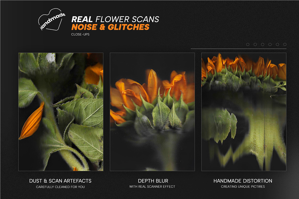 Scanned Sunflower Photocopies, a Graphic by Pásha (Photo 2 of 5)
