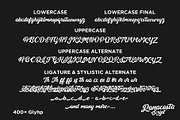 Panacosta Script, a Handwritten Font by Qadry (Thumbnail 12 of 12)