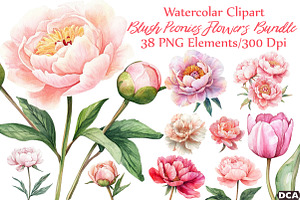 Watercolor Blush Peonies Flowers Cli, an Illustration by DreamCafeArt