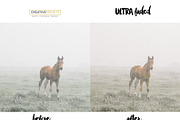ULTRAfaded - Lightroom presets, an Action Add-On by CreativePresets.com (Thumbnail 6 of 6)