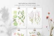 Organic LAB. Watercolor kit, a Decorative Illustration by Kate Macate (Thumbnail 3 of 9)