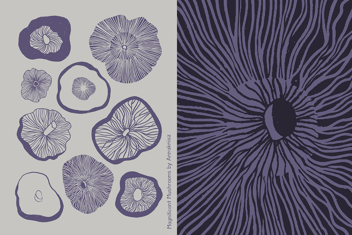 Magnificent Mushrooms, a Food Illustration by Annakniaz (Photo 3 of 15)