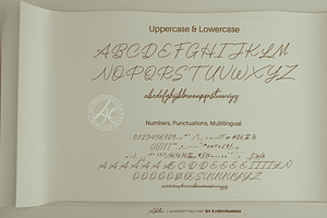 Astellan Font