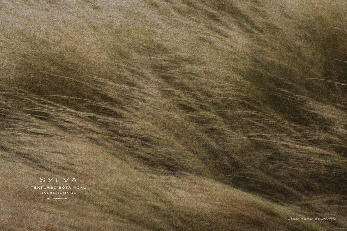 Sylva Textured Botanical Backgrounds, a Background Graphic by alonahaidash (Photo 5 of 15)