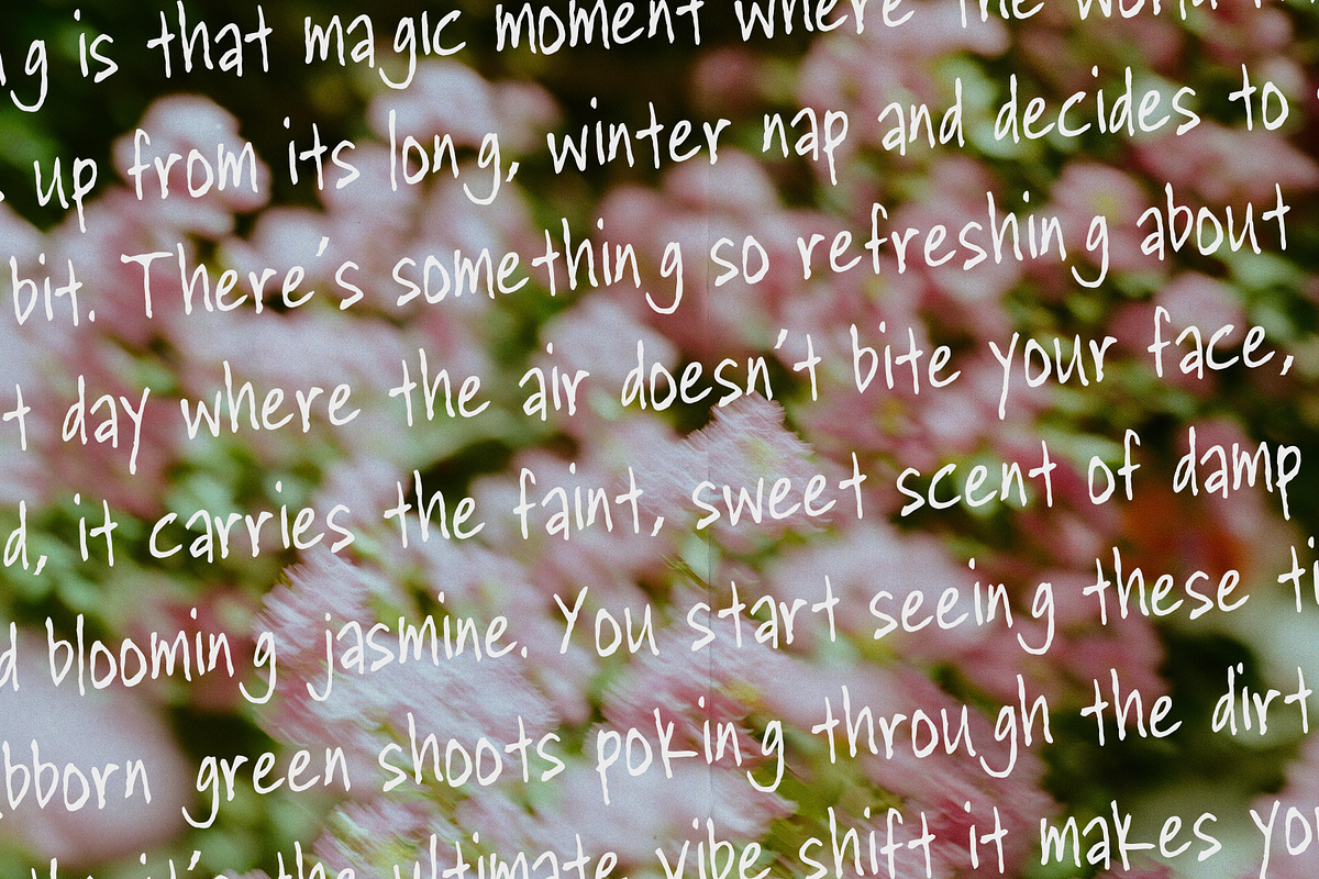 Zarlo - Scribble Handwritten Font, a Handwritten Font by Indotype Foundry (Photo 5 of 10)