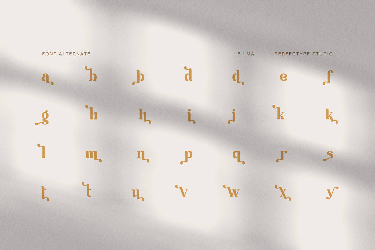 Bilma Elegant Serif Font, a Serif Font by Perfectype (Photo 8 of 8)