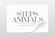 Beautiful Comethrue Family 54 Fonts, a Serif Font by Sealoung (Thumbnail 18 of 18)