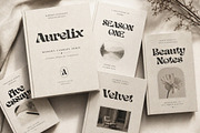 Aurelix | Modern Fashion Serif, a Serif Font by Ckybe's Corner (Thumbnail 7 of 11)