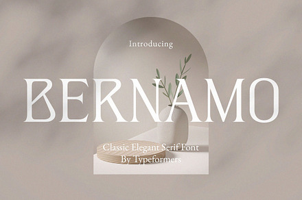 Bernamo - Classic Modern Serif, a Serif Font by Typeformers