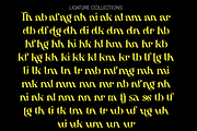 Hamachi Font, a Serif Font by 177Studio (Thumbnail 8 of 8)