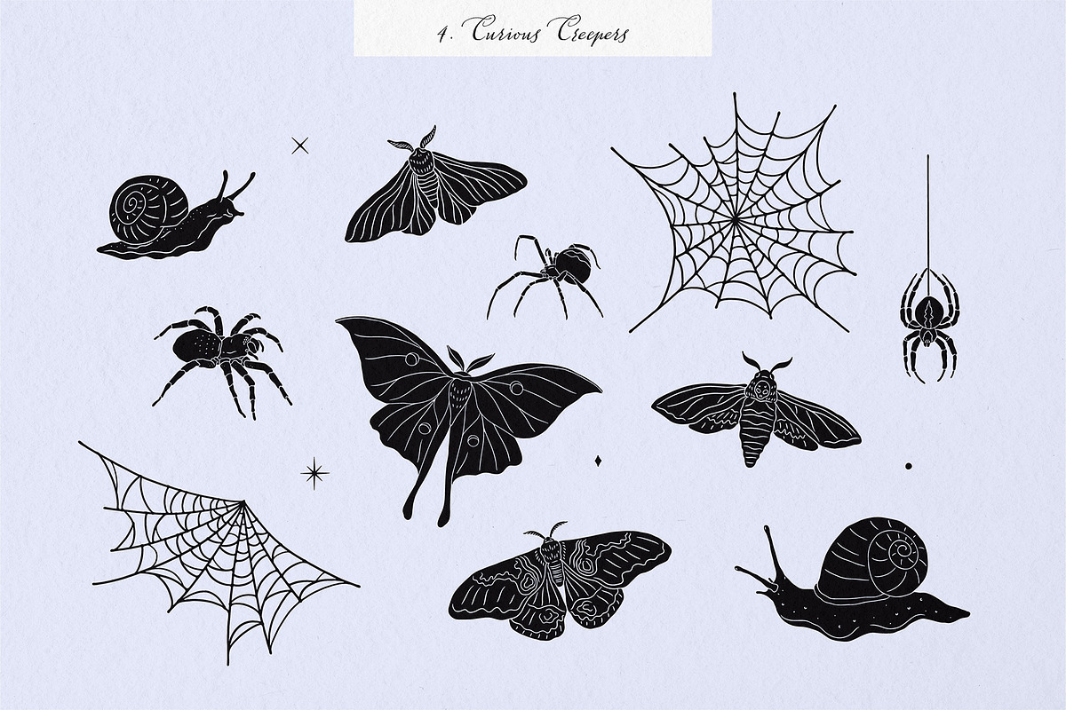 Enchanted Wonders 2 in 1 Graphic Set, a Decorative Illustration by rouxsupplyco (Photo 6 of 19)