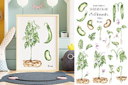 Life Cycle Watercolor Collection, an Education Illustration by MayaNavits (Thumbnail 4 of 12)
